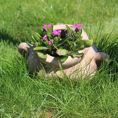 Lente 빌라 *