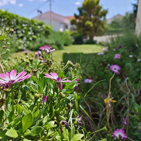Lente Villa