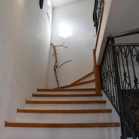 Lente Villa Polje (Krk)