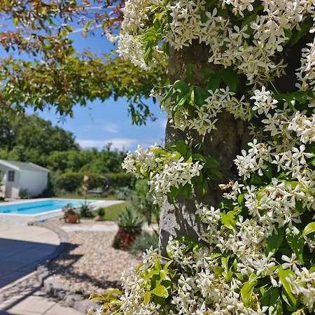 Lente Villa